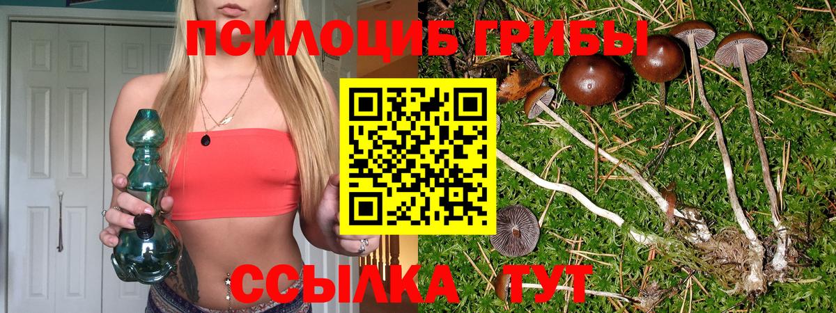 Галлюциногенные грибы прущие грибы  Вход с VPN  Галлюциногенные грибы мицелий  Нальчик 