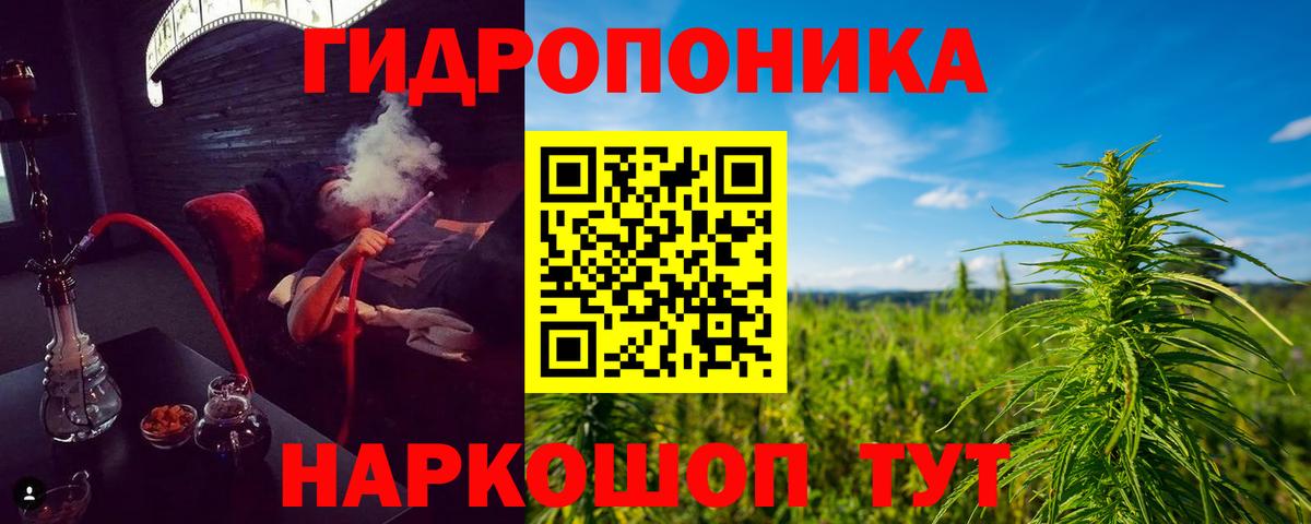 Каннабис White Widow Нальчик
